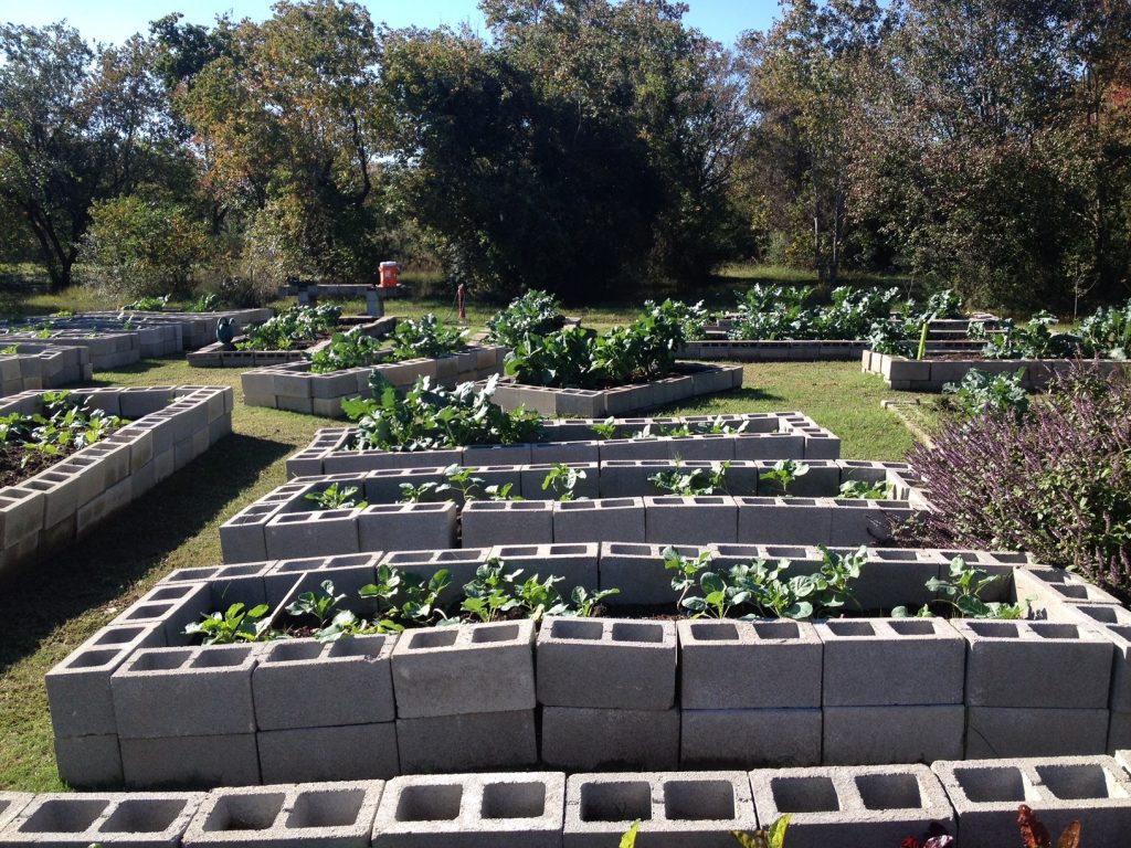 Community Garden1