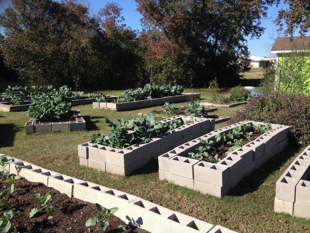 Community Garden2