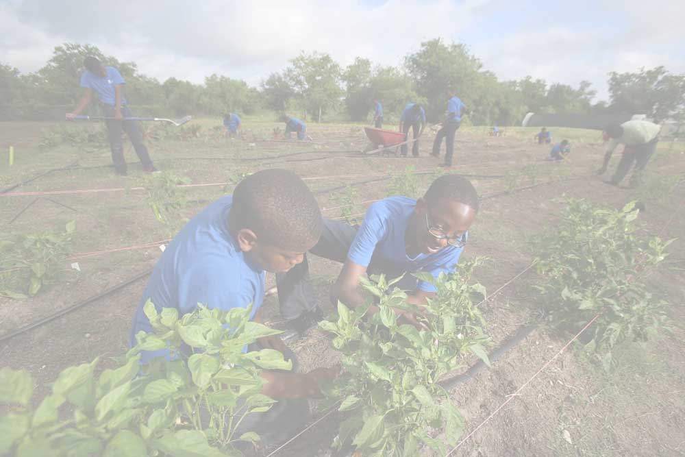 MCNAIR Urban Farm